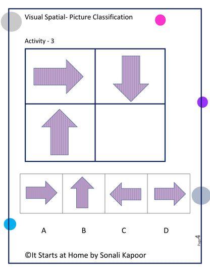 Visual Spatial - Picture Classification