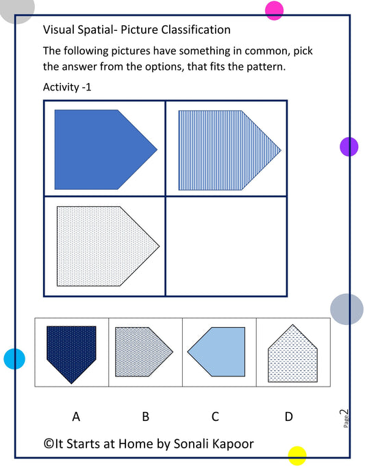 Visual Spatial - Picture Classification